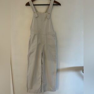 Patagonia Stand Up Cropped Organic Cotton Overalls